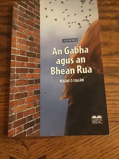 Kids Irish books individually priced