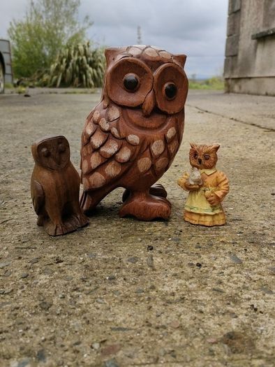 Hardwood carved Tawny owls