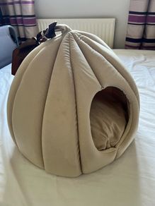 Cat Bed