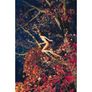 Visionaire 61 Larger Than Life Standard Image 2