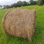 Hay for sale near roadside Image 3