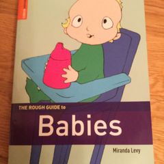 Book, The Rough Guide to Babies