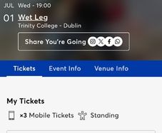 Wet Leg Concert