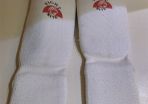 Taekwando Sparring Gear
