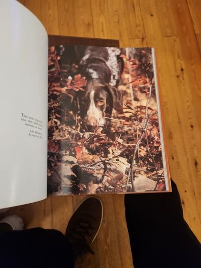 Just Dogs. A Literary & Photographic Tribute To The Great Hunting Breeds. First Edition Large Volume Hardback With Dustjacket In Very Good Condition. 36.