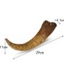1/1  copy of a prehistoric megaraptor claw Image 2