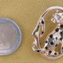 2 Beautiful Brass Brouches Image 6