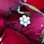 Vintage 1950/60s Diamond Daisy Flower Ring - 18ct & Platinum Image 5