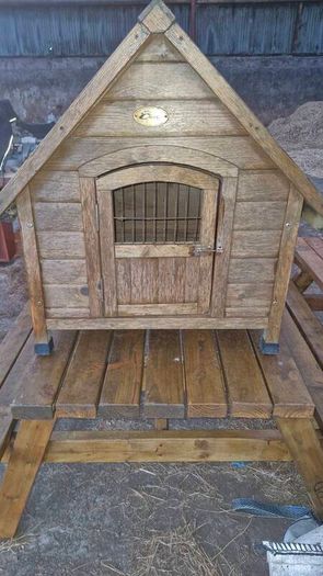 Dog House