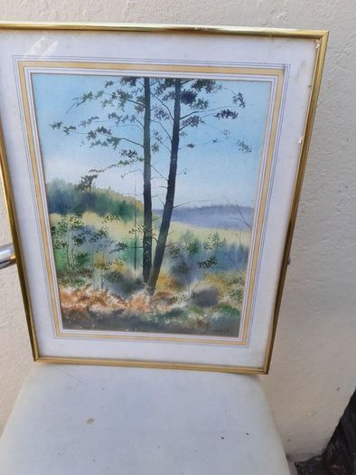 painting  by colum mcevoy