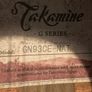 Takamine Image 4