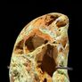 Mineral Form - Green Smithsonite Image 5