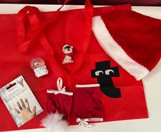 Bundle of Christmas Stuff