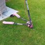 Pink Flicker Image 2