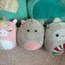 Squishmallows Image 2