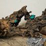 Dragon Wood Image 5