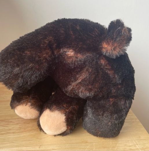 TY  Kodi Bear Soft Toy No Tags