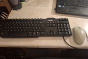 USB Mouse and Keyboard