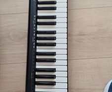 Roland A 49 Midi Keyboard