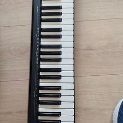 Roland A 49 Midi Keyboard