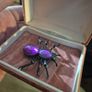 Spider Brooch Image 3