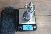 silver pepper