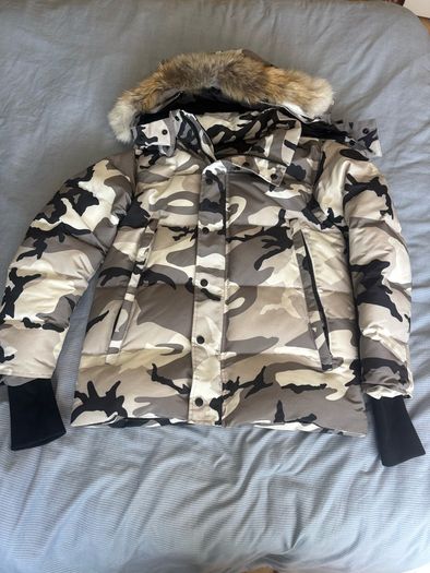 canada goose