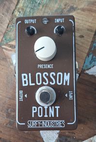 Surfybear Blossom Point