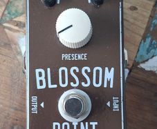 Surfybear Blossom Point