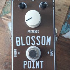 Surfybear Blossom Point