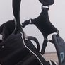 Titleist Stand Bag Image 5