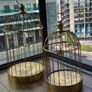 Gold decorative birdcages Image 3