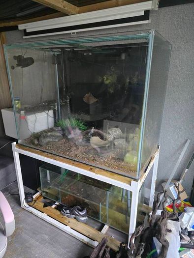 1000ltr Fish Tank Best Offer Takes It, Need It Gone Asap