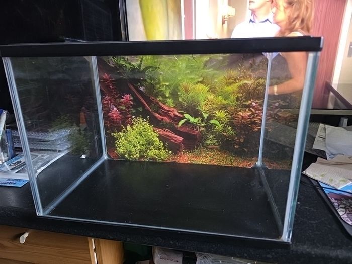 Small Fish tank