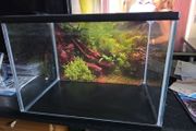 Small Fish tank