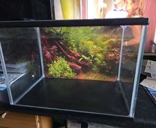 Small Fish tank