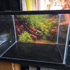 Small Fish tank