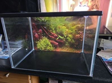Small Fish tank