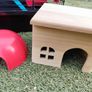 Hamster starter kit Image 3