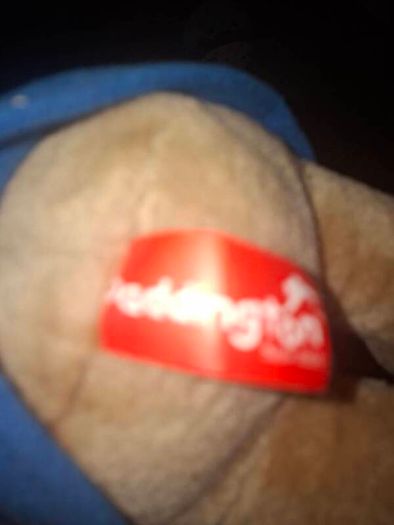collector Teddies