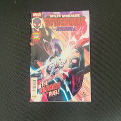 Spider Man Comic
