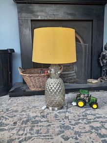 pineapple mustard lamp