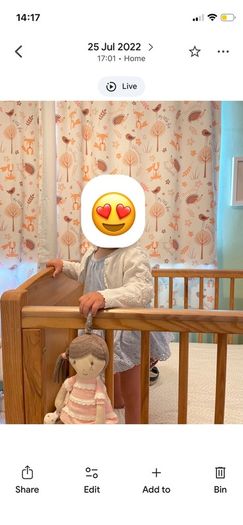 Kid's bed (also cot)