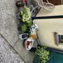 plants and pots Image 2