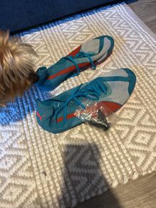 shoe for men