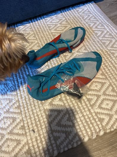 shoe for men