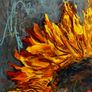 ArtH2O 2025 Sunflower Petals, Quadriptych Image 6