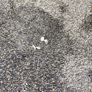 FREE Paving sand Ashbourne Image 3