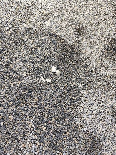 FREE Paving sand Ashbourne
