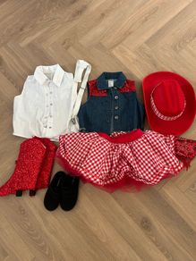 Girls cowgirl costume